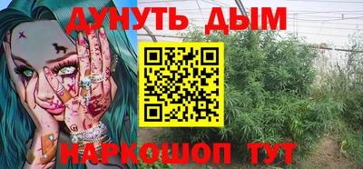 шишки Кингисепп