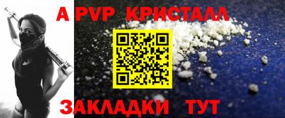 шишки Кингисепп