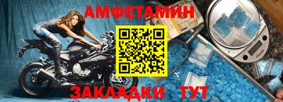 шишки Кингисепп