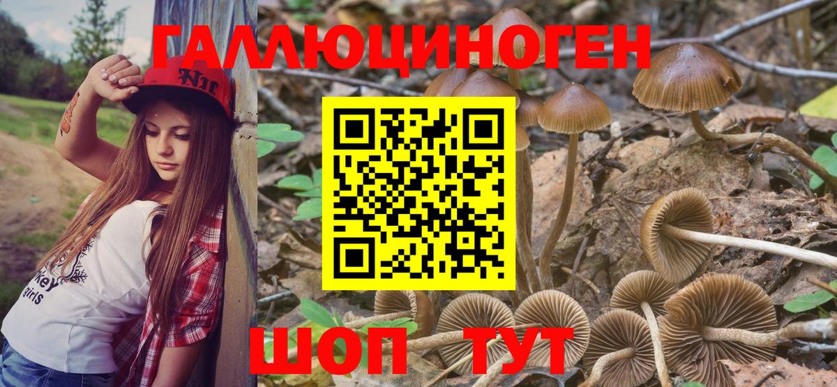 Псилоцибиновые грибы Psilocybine cubensis  Галлюциногенные грибы Magic Shrooms  где продают   Арзамас  Вход с VPN 